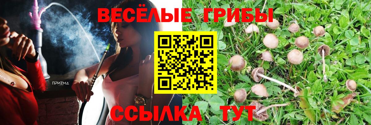 Псилоцибиновые грибы Cubensis  продажа наркотиков  Вход с VPN  Топки  Галлюциногенные грибы ЛСД 