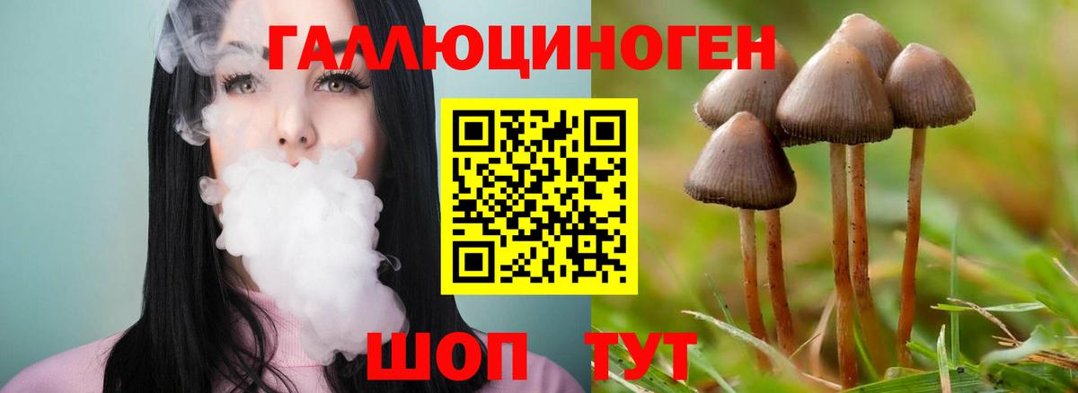 Галлюциногенные грибы Psilocybine cubensis Топки